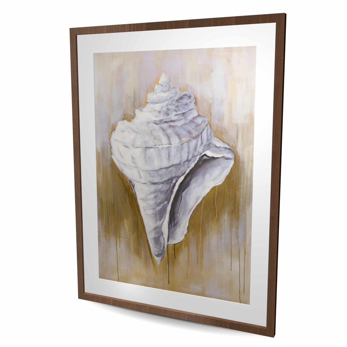 C1FM36486VVEGE 36 x 48 in. Conical Shell - Marine Still Life Framed Matted Print Decor