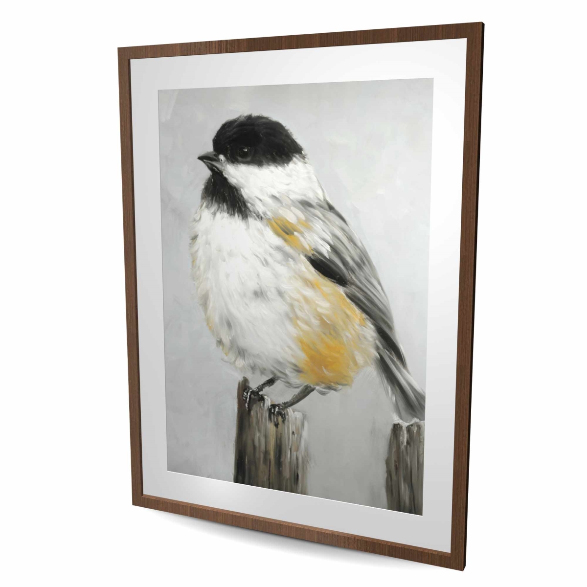 C1FM36486MUVXV 36 x 48 in. Coal Tit Bird Framed Matted Print - Animals Feathers Decor