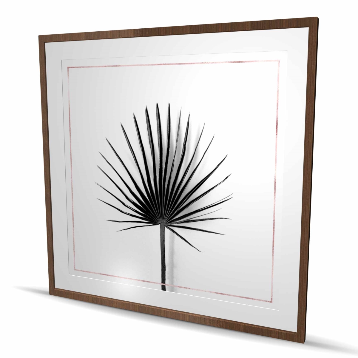C1FM484882JEV4 48 x 48 in. Cabbage Palm Leaf with Rose Lines - Framed Botanical Print