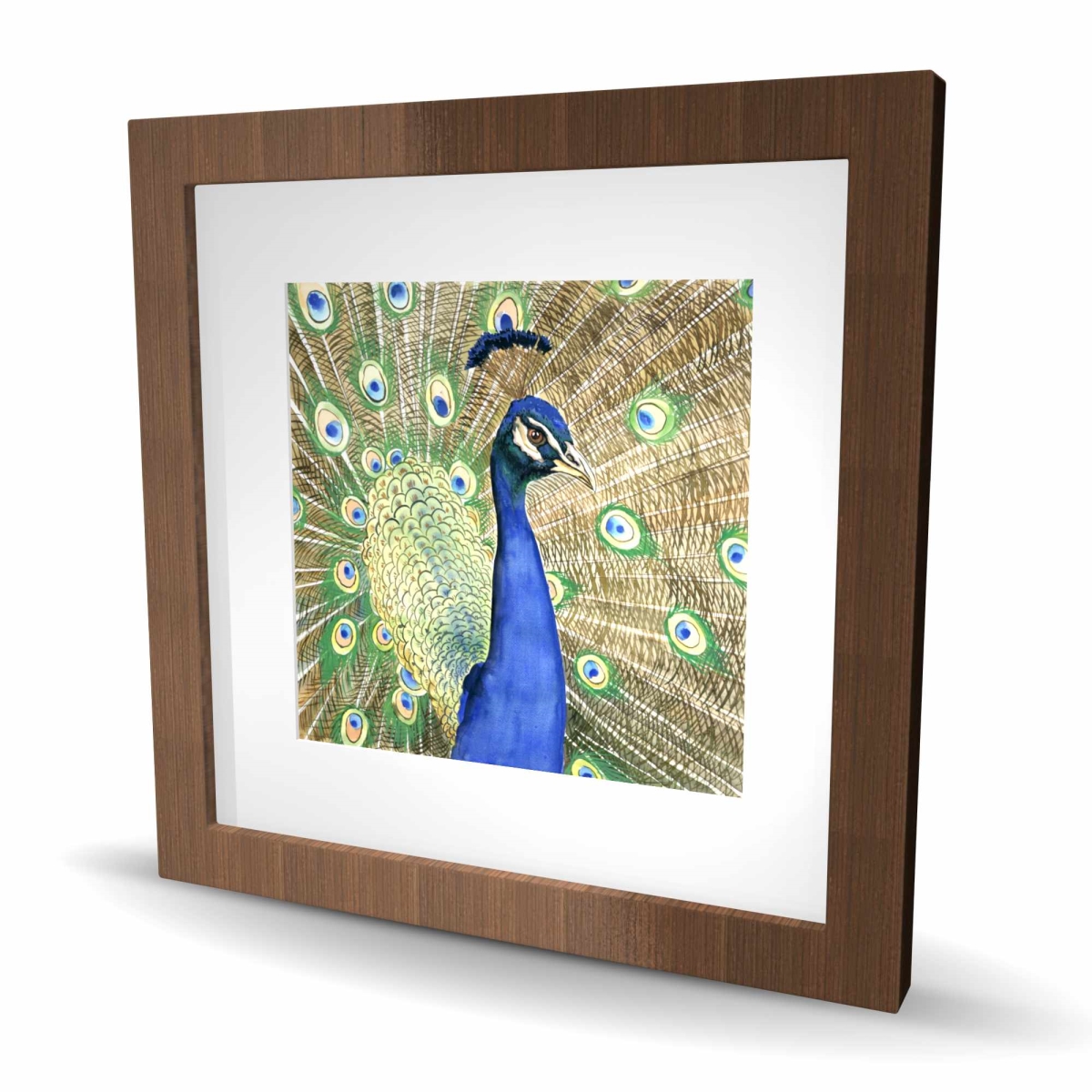 C1FM1616MMM7QE 16 x 16 in. Peacock - Classic Blue Framed Matted Print for Home Decor