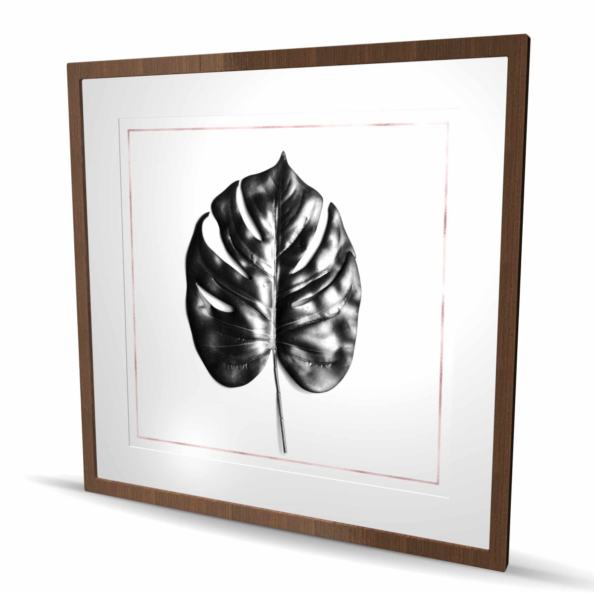 C1FM3636QMY1ON 36 x 36 in. Split Leaf Philodendron with Rose Line - Framed Matted Print