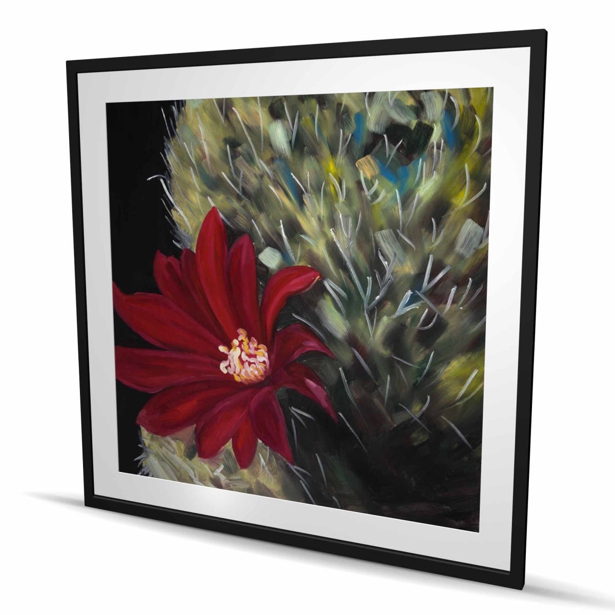 C1FM484827HOT1 48 x 48 in. Echinopsis Red Cactus Flower - Framed Matted Botanical Print