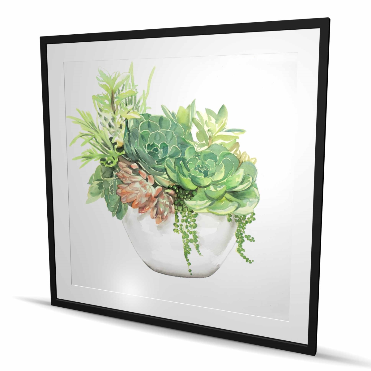 C1FM4848EIOQWL 48 x 48 in. Succulent Assortment in A Pot - White Framed Print for Decor