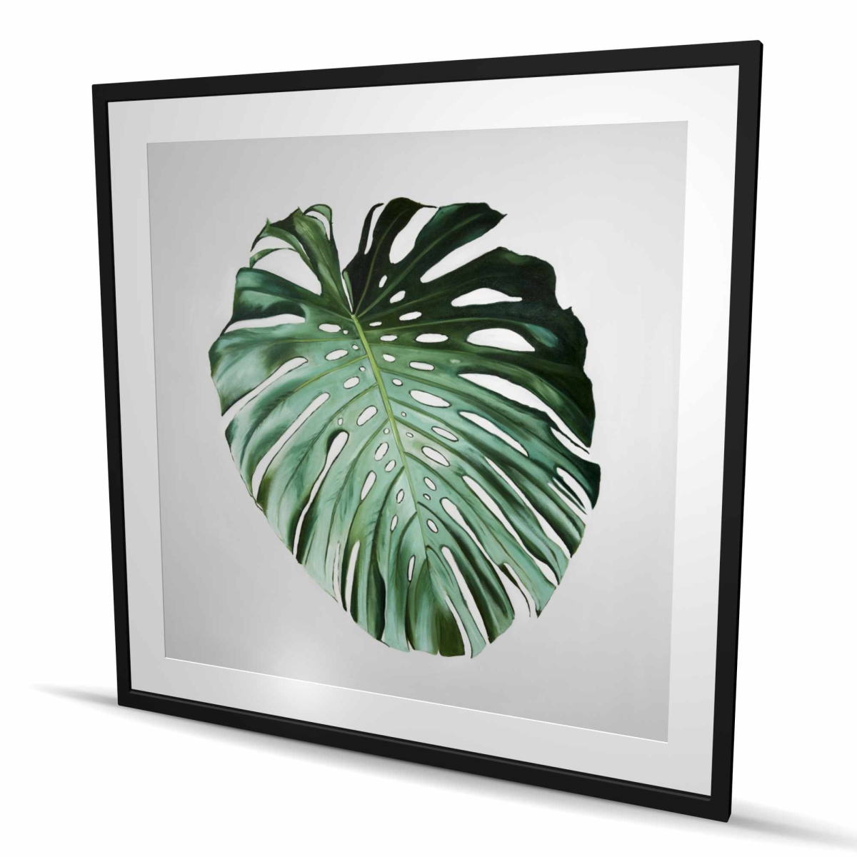 C1FM4848CVSOCL 48 x 48 in. Monstera Leaf - Exotic Framed Matted Print for Home Decor