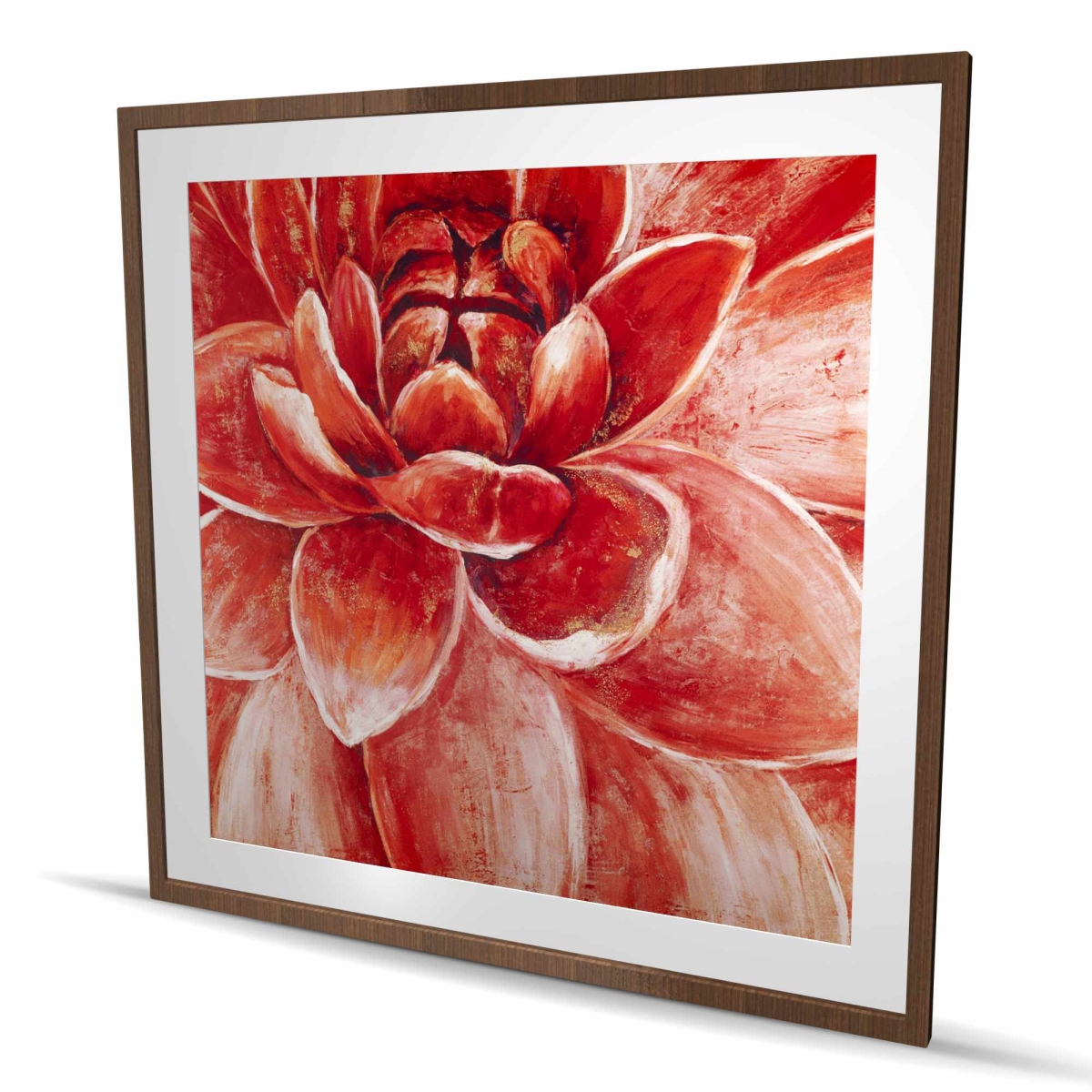 C1FM48489GA9K8 48 x 48 in. Red Chrysanthemum - Botanical Framed Matted Print for Decor