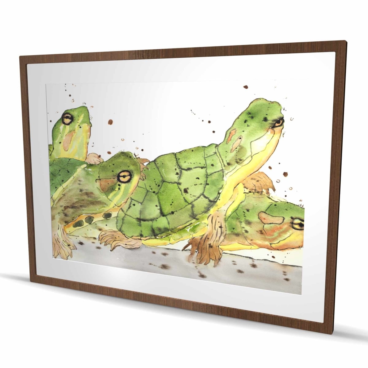 C1FM36486AN9EO 36 x 48 in. Small Aquatic Turtles Print - Brown Framed Matted Decor