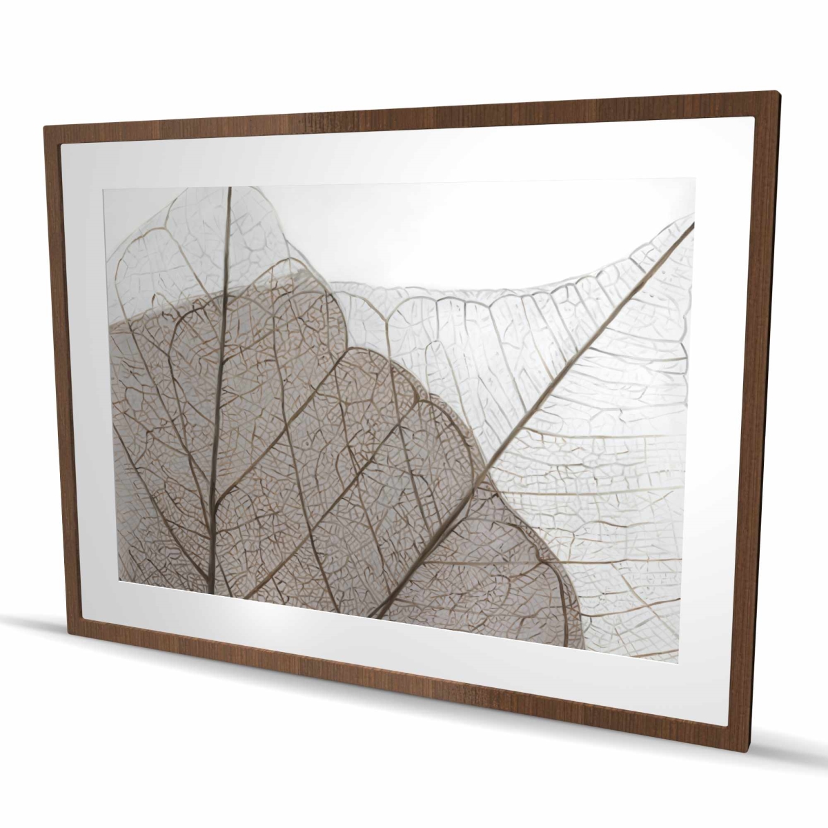 C1FM3648MIM156 36 x 48 in. Translucent Dried Leaves Print - Beige Floral Home Decor