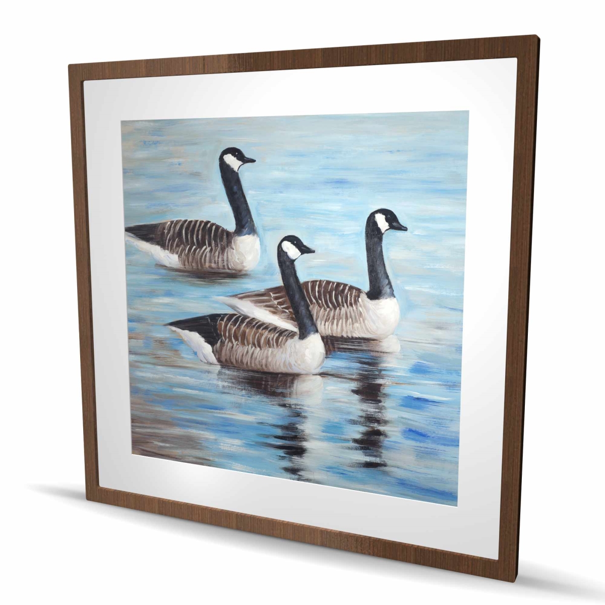 C1FM3636ZI9OP7 36 x 36 in. Canada Geese in Water - Rustic White Framed Print for Decor