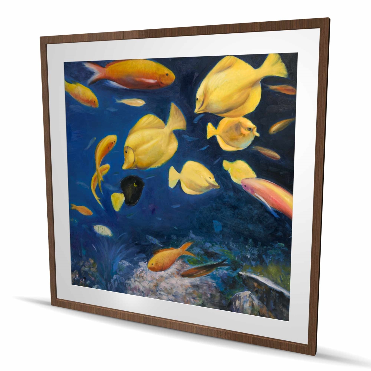 C1FM4848BWRKME 48 x 48 in. Fish Under the Sea - Contemporary Classic Blue Framed Print