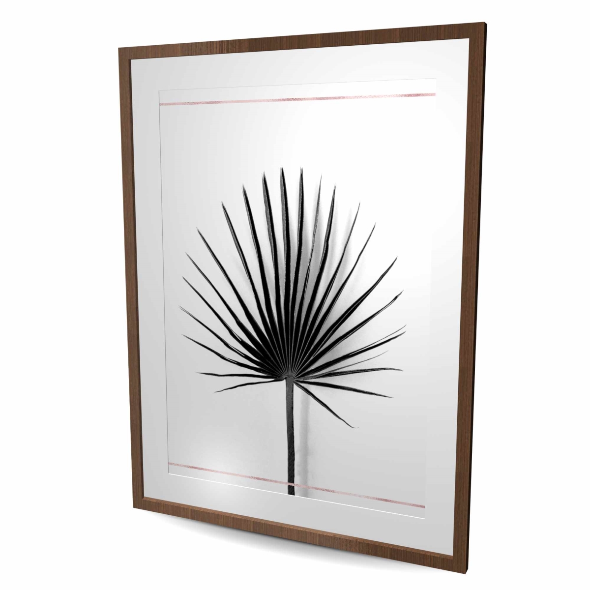 C1FM3648WJKAZT 36 x 48 in. Cabbage Palm Leaf with Rose Lines - Framed Botanical Print