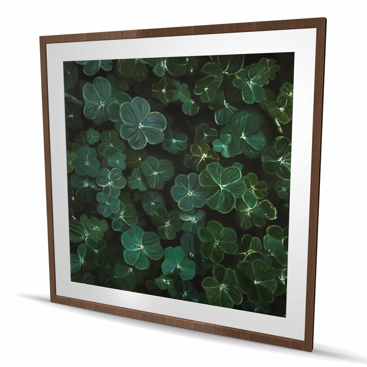 C1FM4848J6FTLT 48 x 48 in. Clovers - Hyperrealist Framed Matted Print for Home Decor