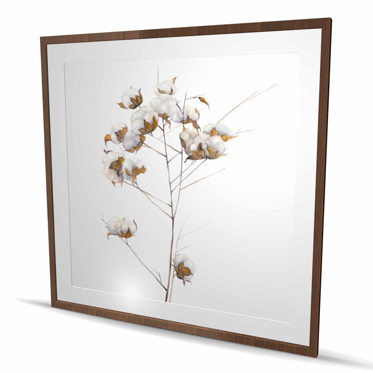C1FM48482MEFB4 48 x 48 in. Cotton Flowers Branch - Still Life Farmhouse Framed Print