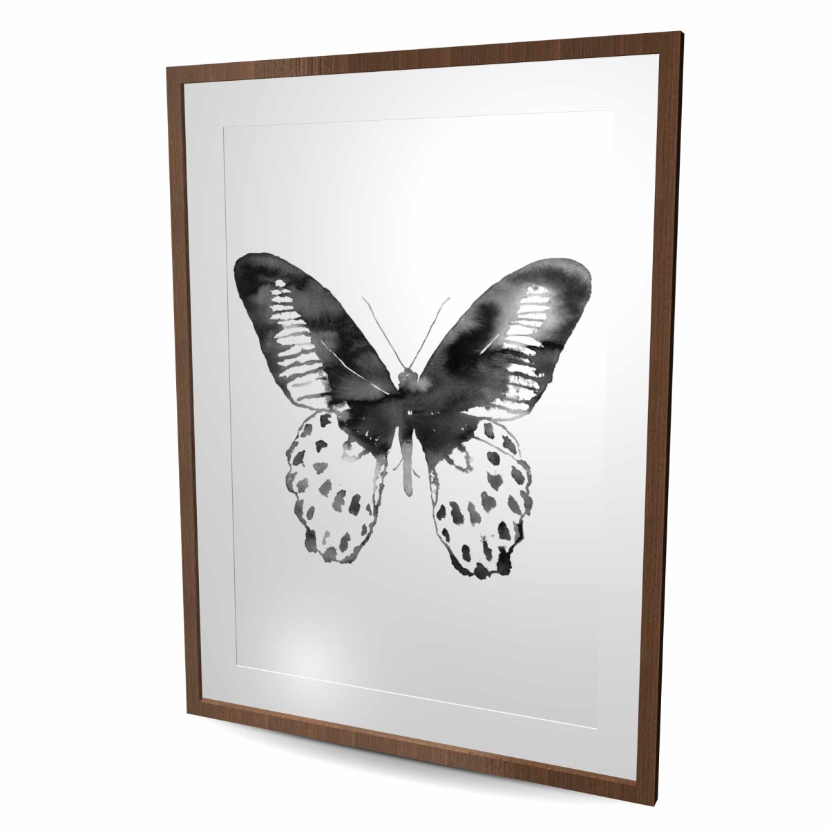 C1FM3648OHY3EE 36 x 48 in. Black Butterfly - Framed Black & White Insect Print Decor