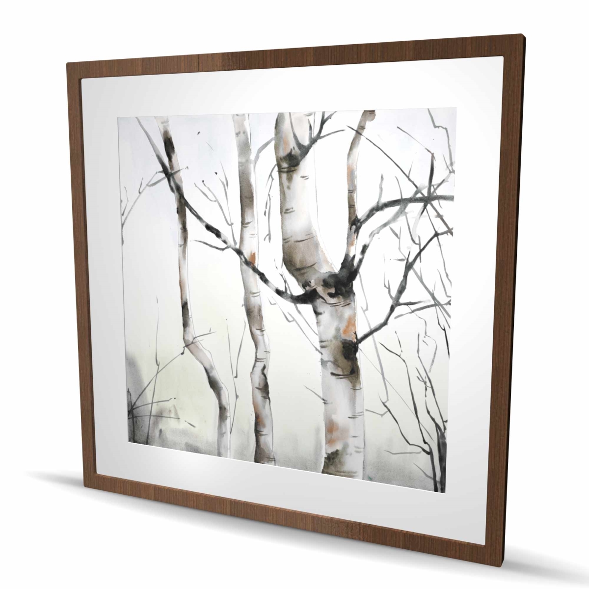 C1FM3636FDQKLE 36 x 36 in. Three Birches Trees Print - Minimalist Gray Framed Decor