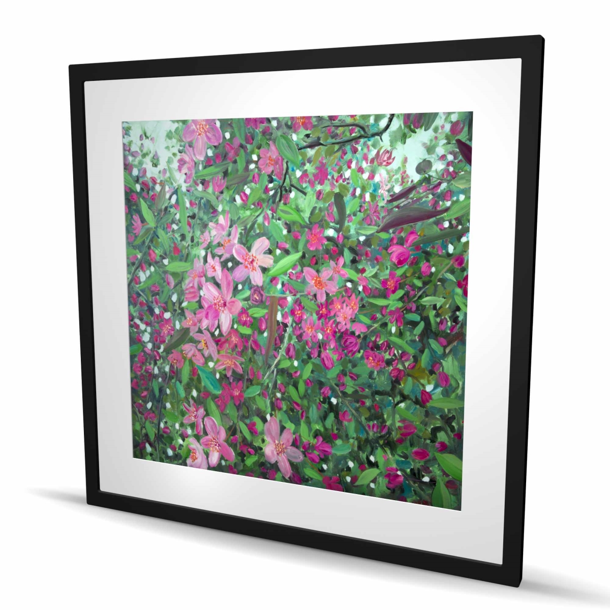 C1FM3636B4R746 36 x 36 in. Cherry Tree Blooming - Framed Matted Print for Bedroom Decor