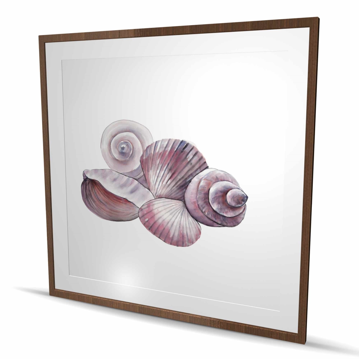 C1FM48484U6VSD 48 x 48 in. Seaside Shells - Coastal Framed Matted Print for Home Decor
