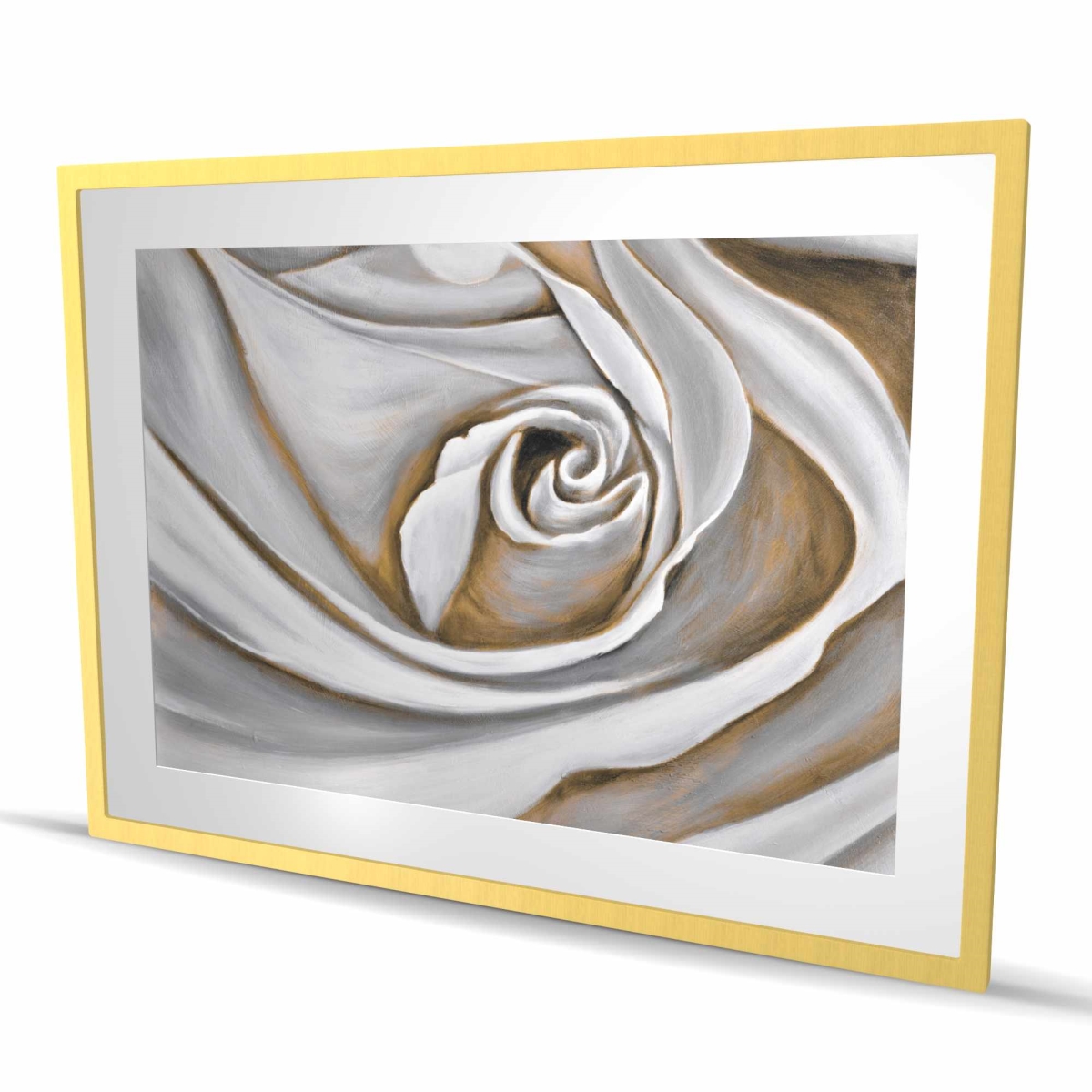 C1FM3648V0X4BB 36 x 48 in. White Rose Closeup - Floral Bathroom Print - Home Decor