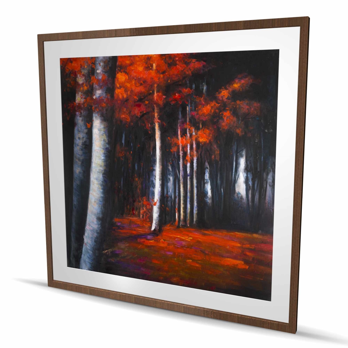 C1FM4848ROQQAZ 48 x 48 in. Mysterious Forest - Black Framed Matted Print for Home Decor
