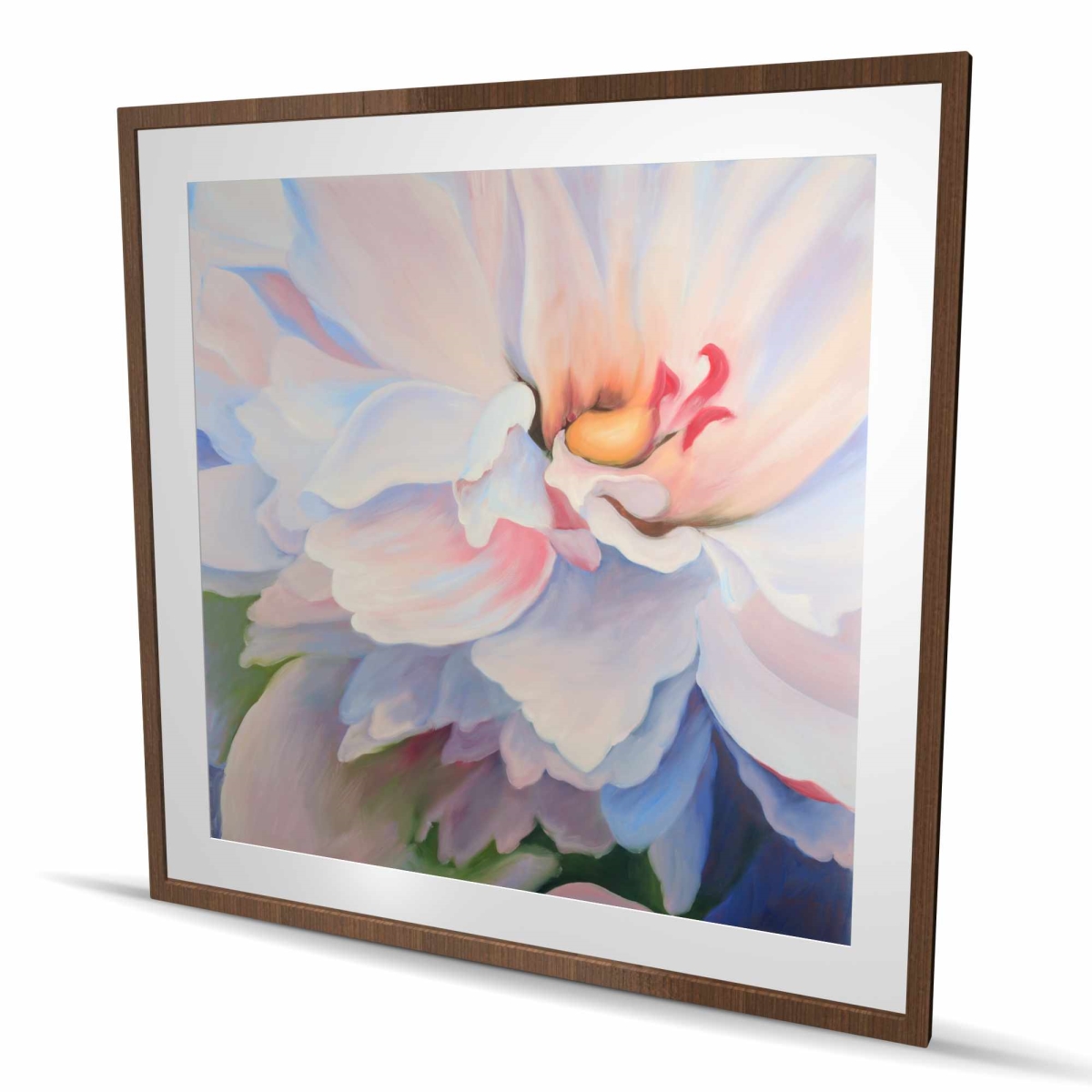 C1FM48485D9OWB 48 x 48 in. Pastel Colored Flower - Botanical Romantic Framed Print