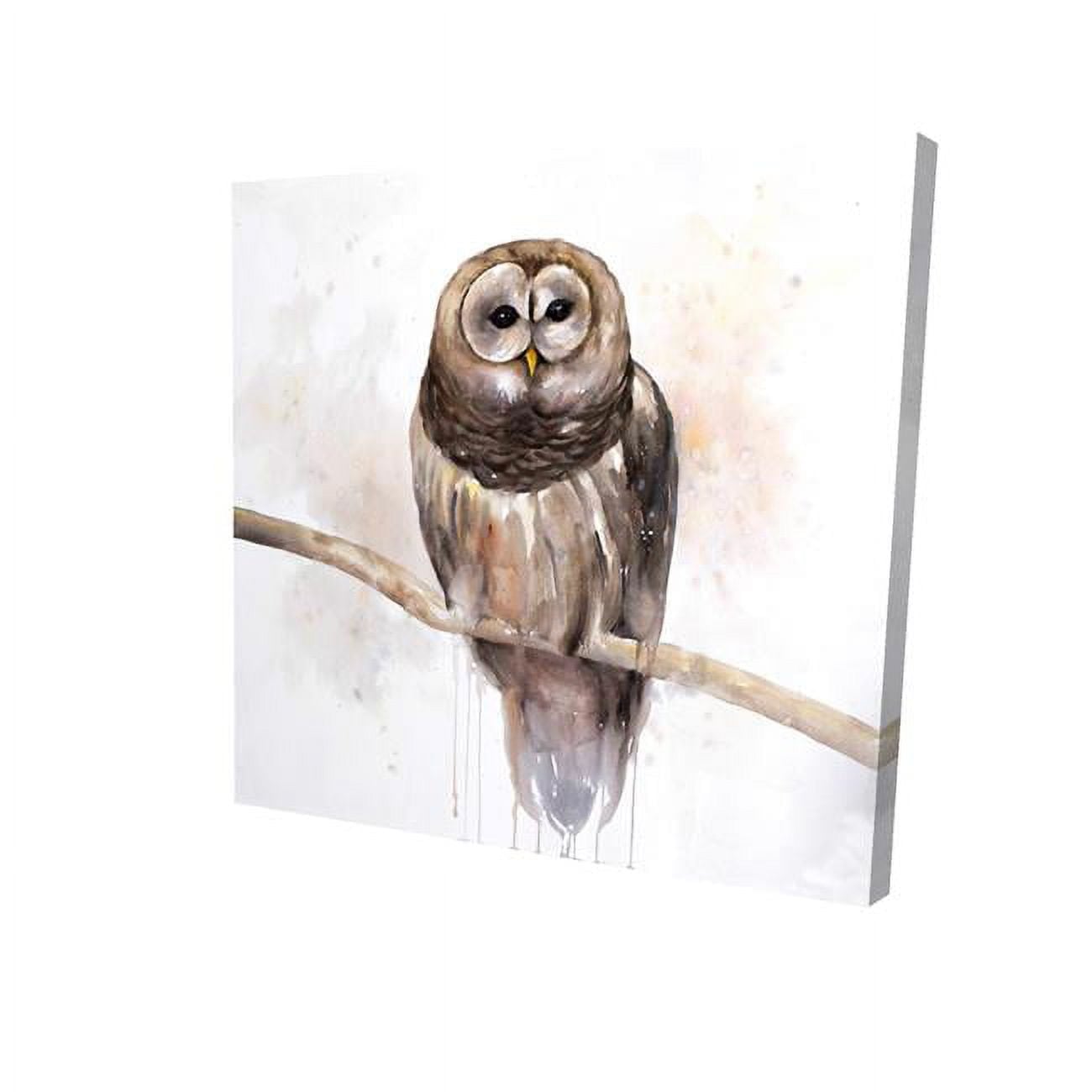 8 x 8 in. Barred Owl-Print on Canvas
