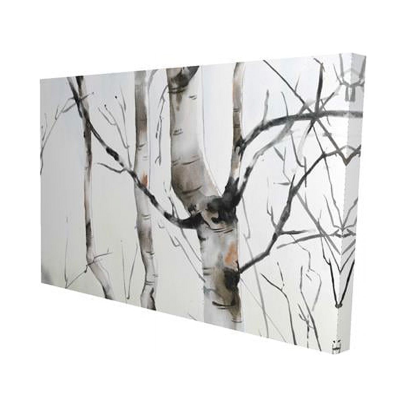 20 x 30 in. Three Birches Trees-Print on Canvas