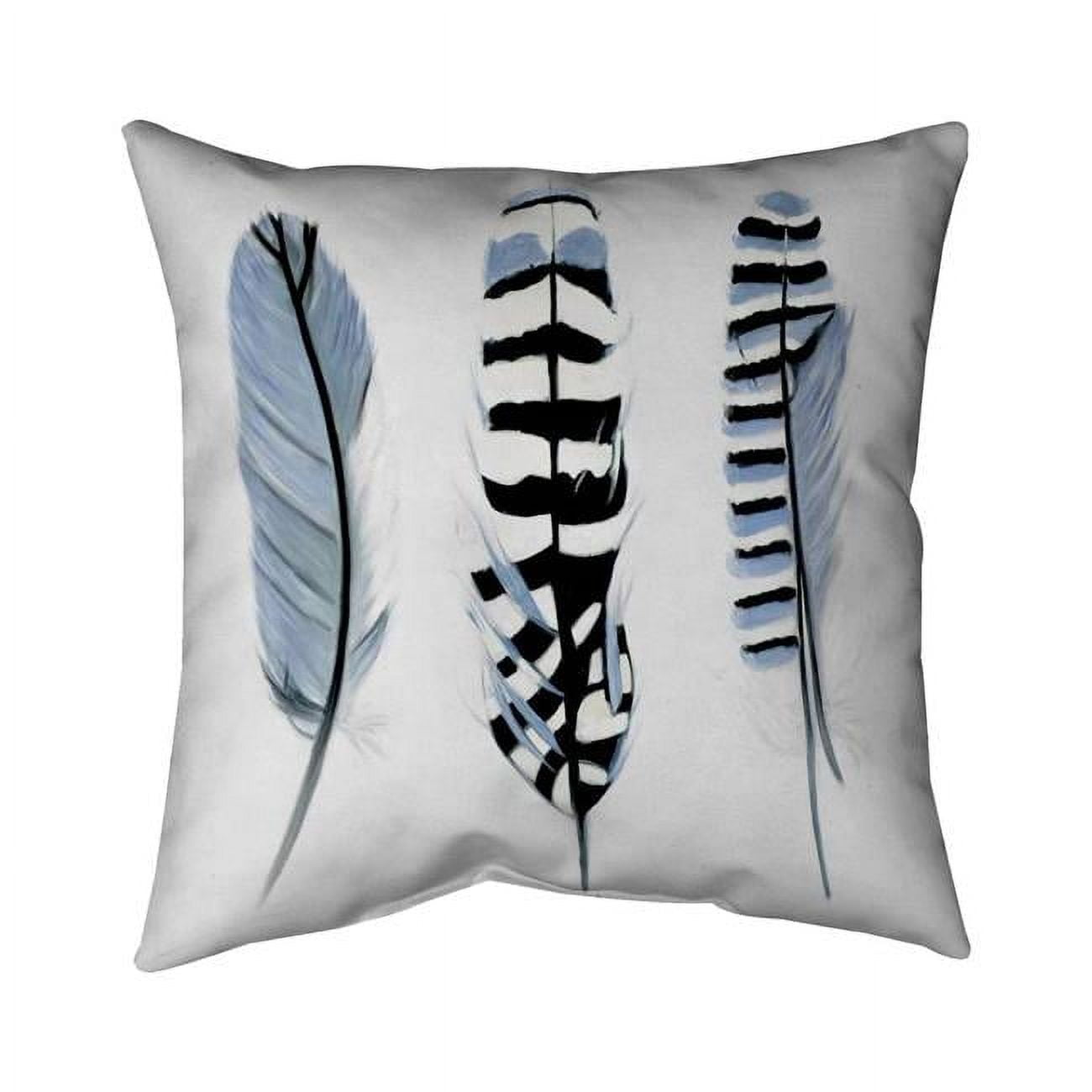 16 x 16 in. Delicate Feathers-Double Sided Print Indoor Pillow Cover