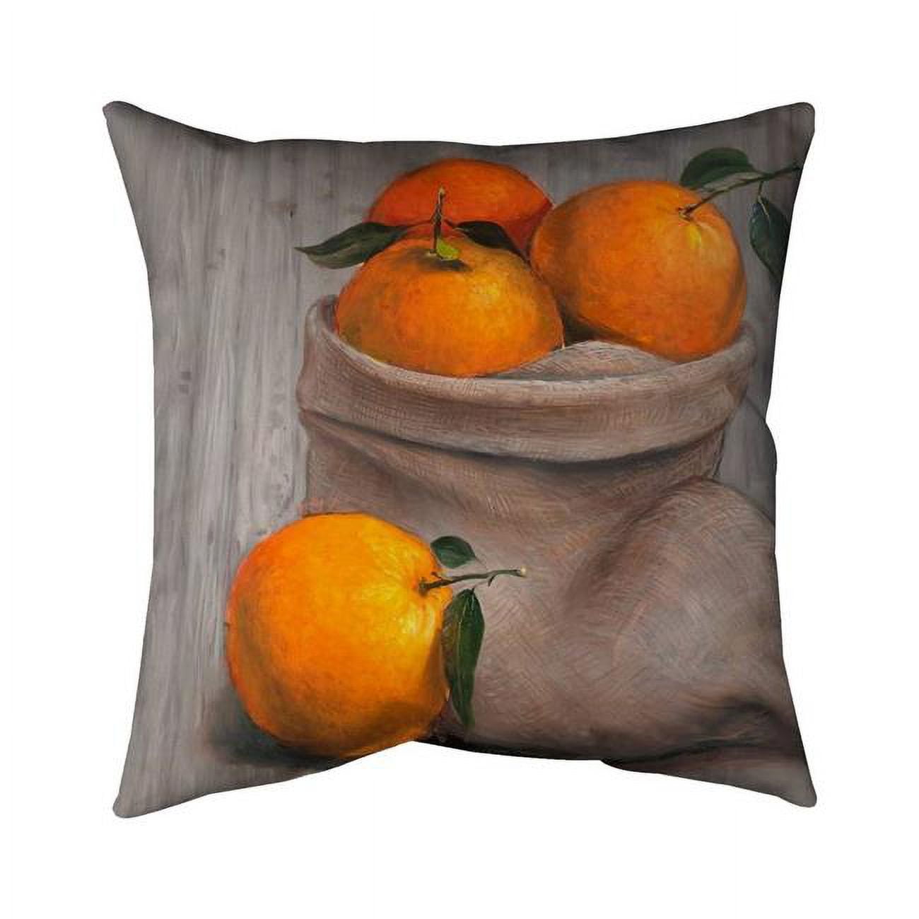 26 x 26 in. Bag of Oranges-Double Sided Print Indoor Pillow