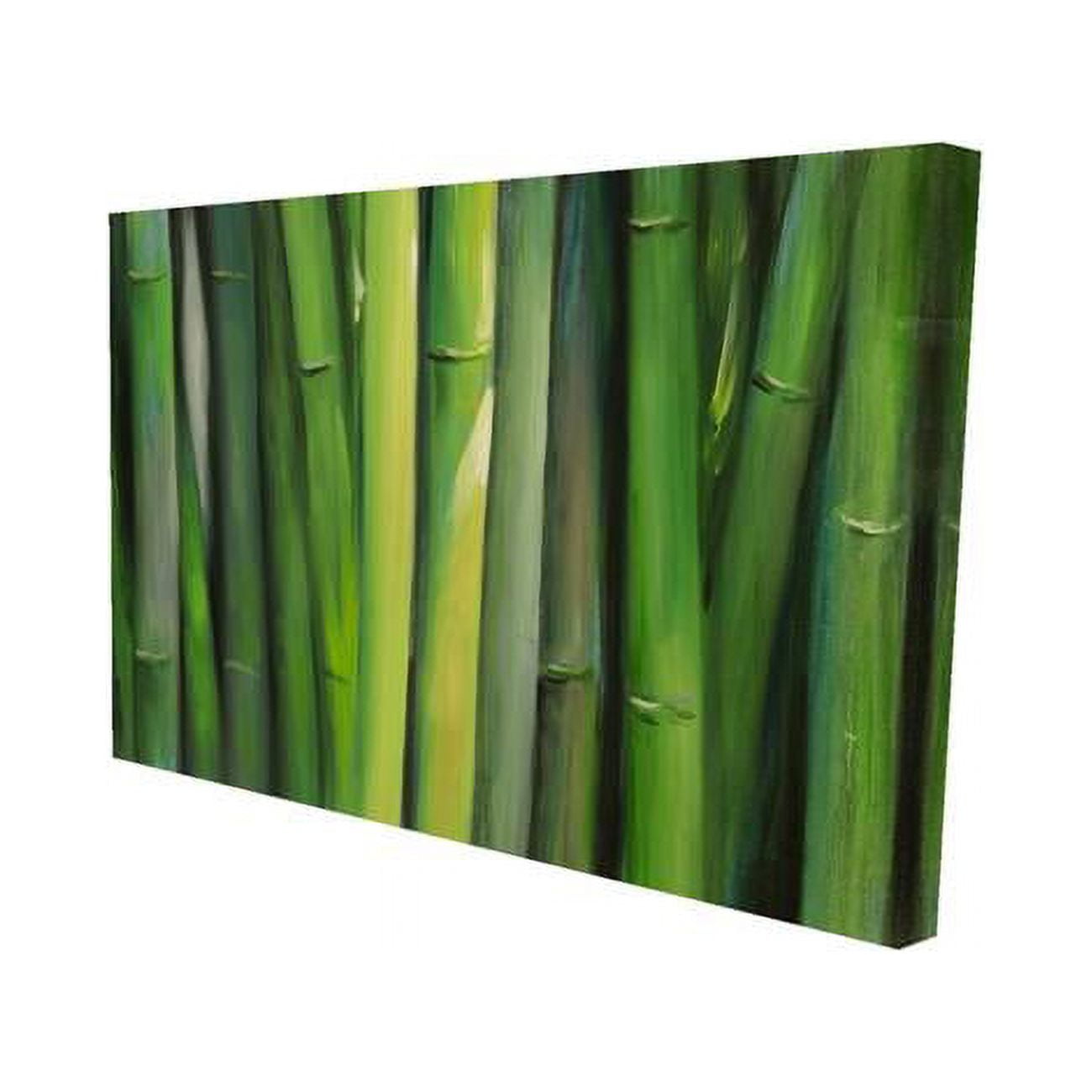 20 x 30 in. Bamboo Plant-Print on Canvas