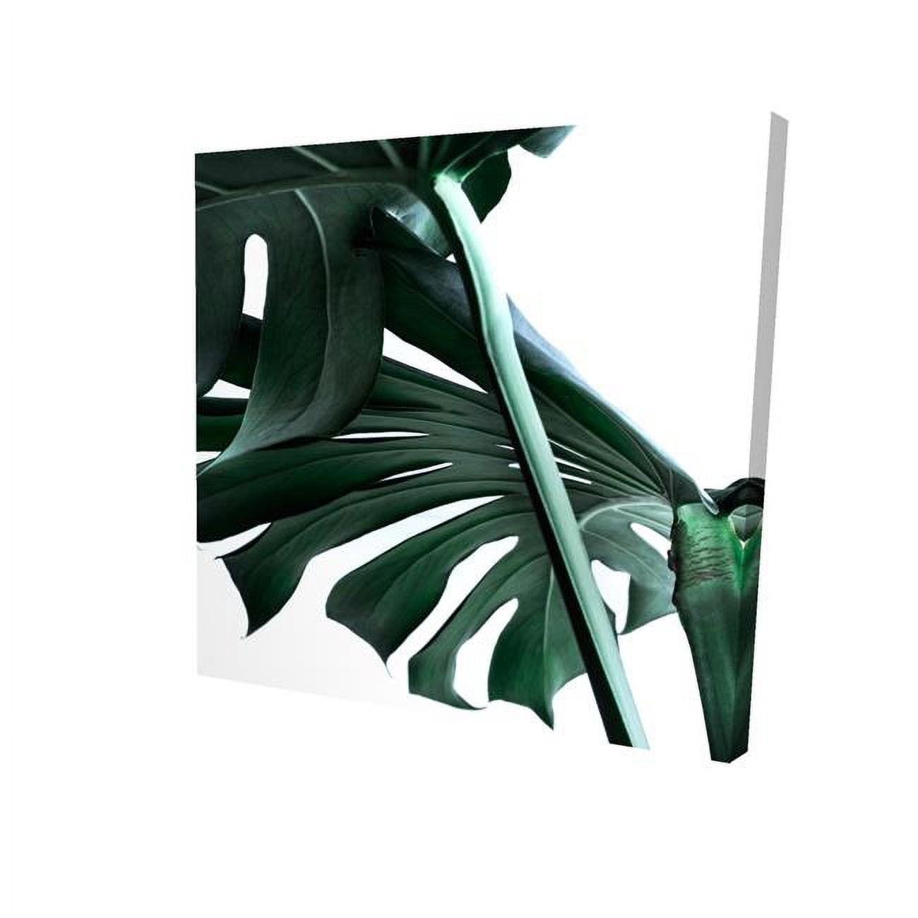 8 x 8 in. Monstera Deliciosa-Print on Canvas