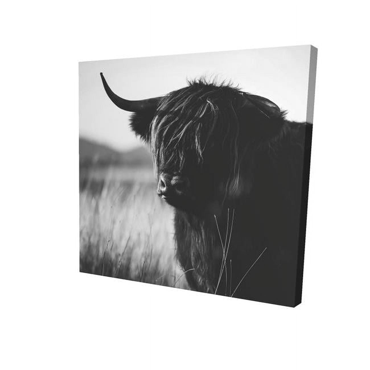 8 x 8 in. Beautiful Monochrome Highland Cow-Print on Canvas
