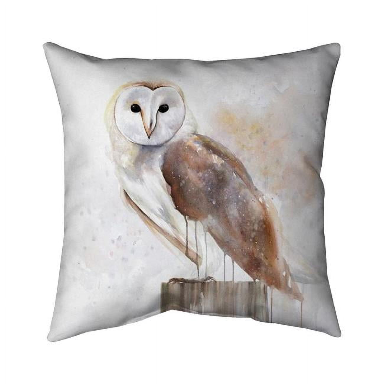 18 x 18 in. Barn Owl-Double Sided Print Indoor Pillow Cover