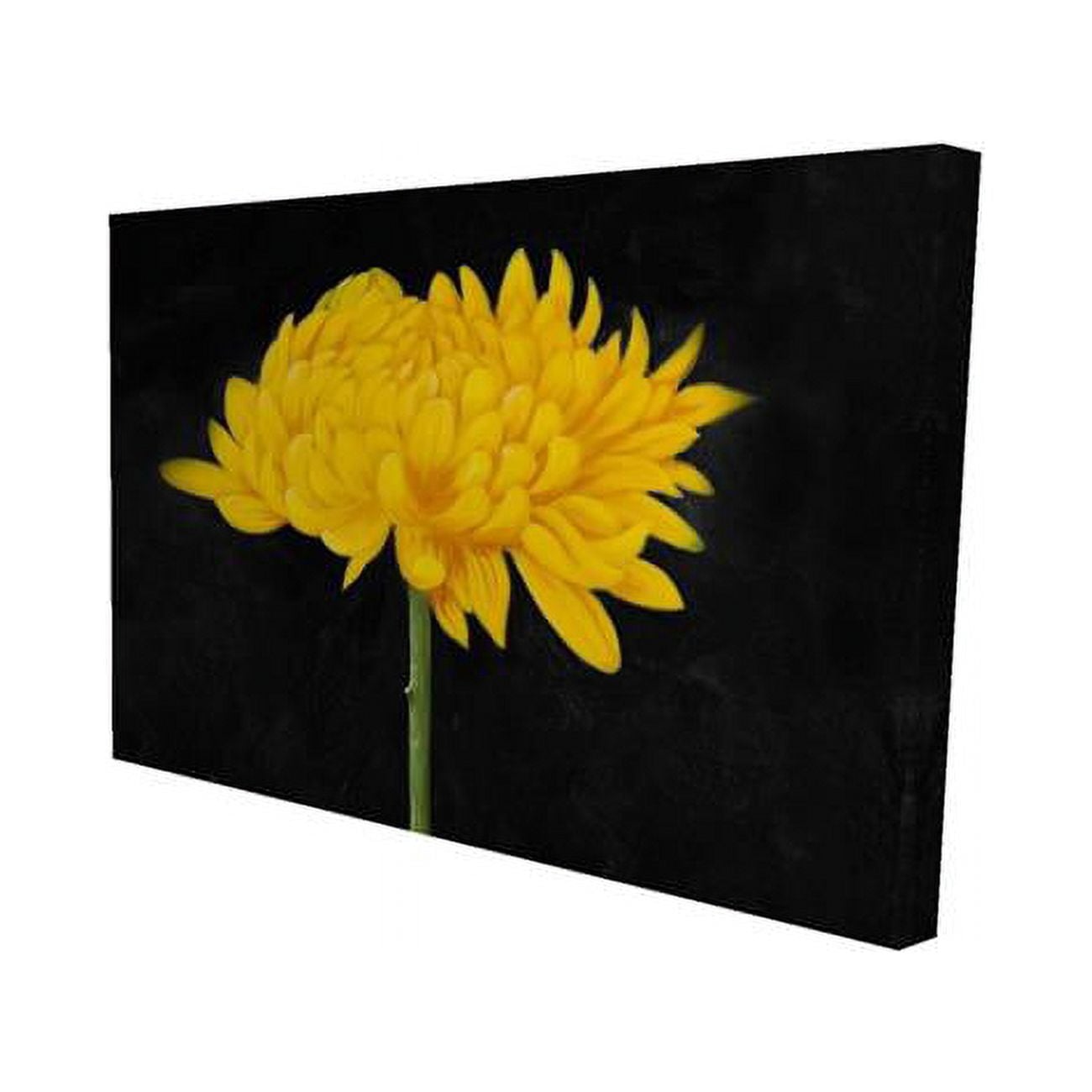 12 x 18 in. Chrysanthemum-Print on Canvas