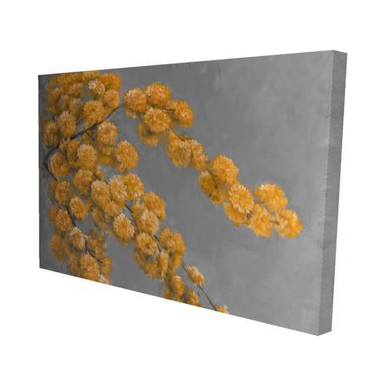 12 x 18 in. Golden Wattle Plant-Print on Canvas