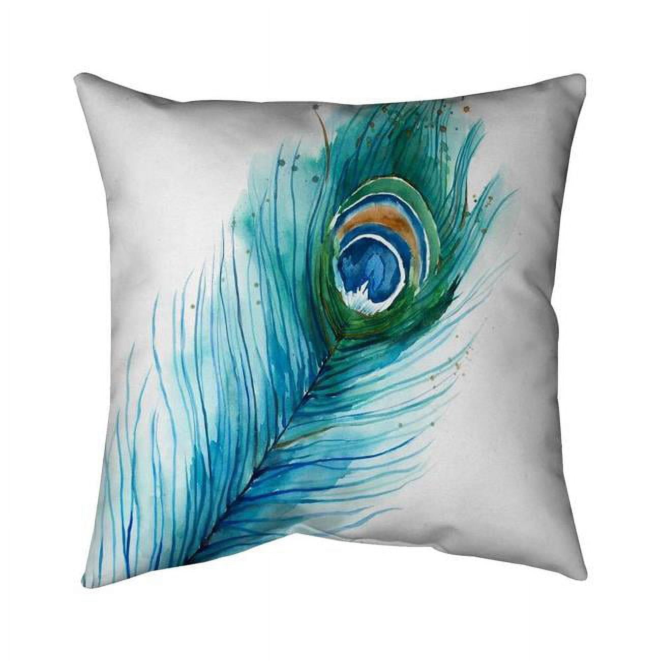 20 x 20 in. Long Peacock Feather-Double Sided Print Indoor Pillow Cover