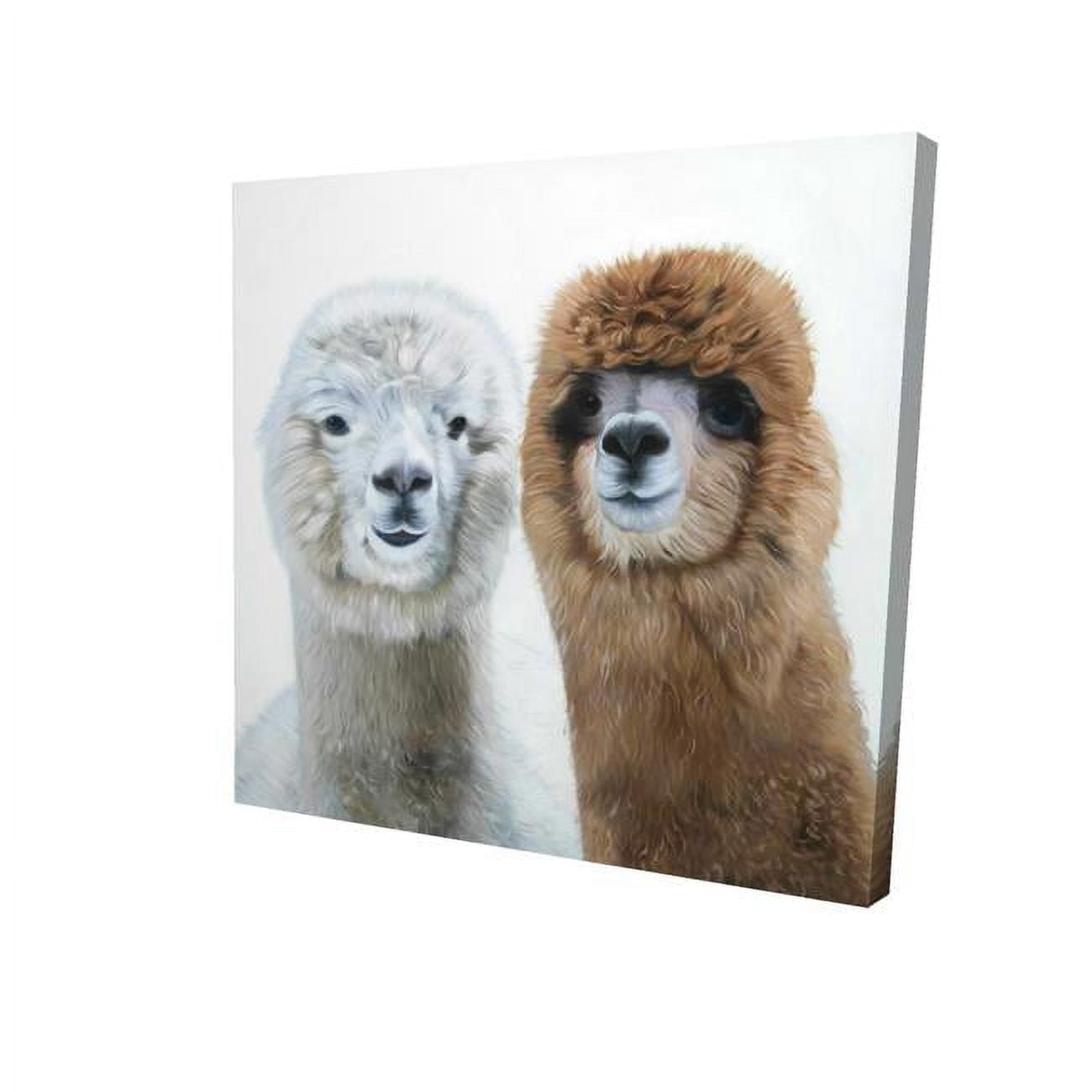 12 x 12 in. Two Lamas-Print on Canvas