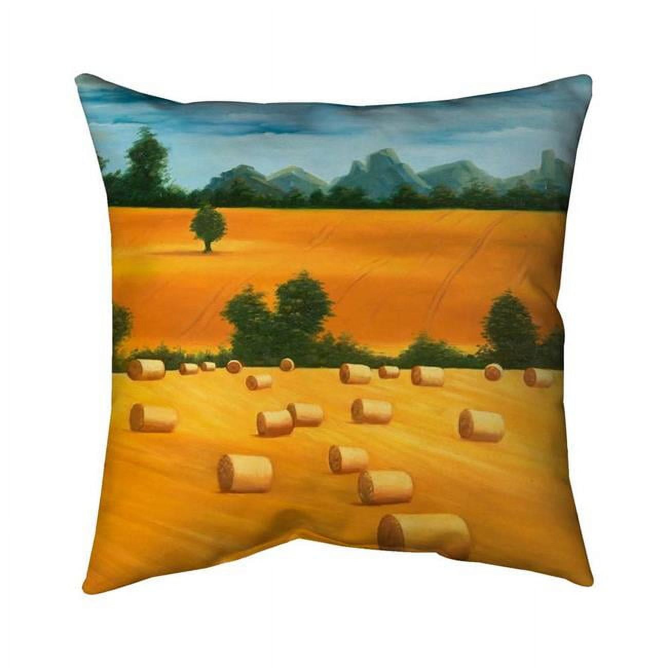 20 x 20 in. Hay Bale Fields-Double Sided Print Indoor Pillow Cover