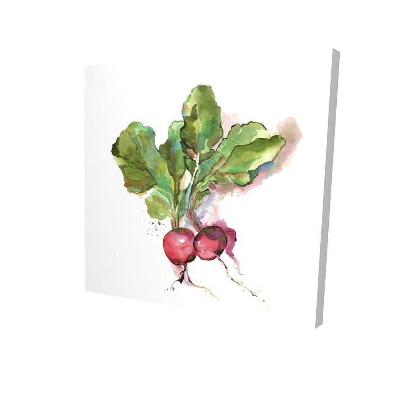 16 x 16 in. Watercolor Radish-Print on Canvas