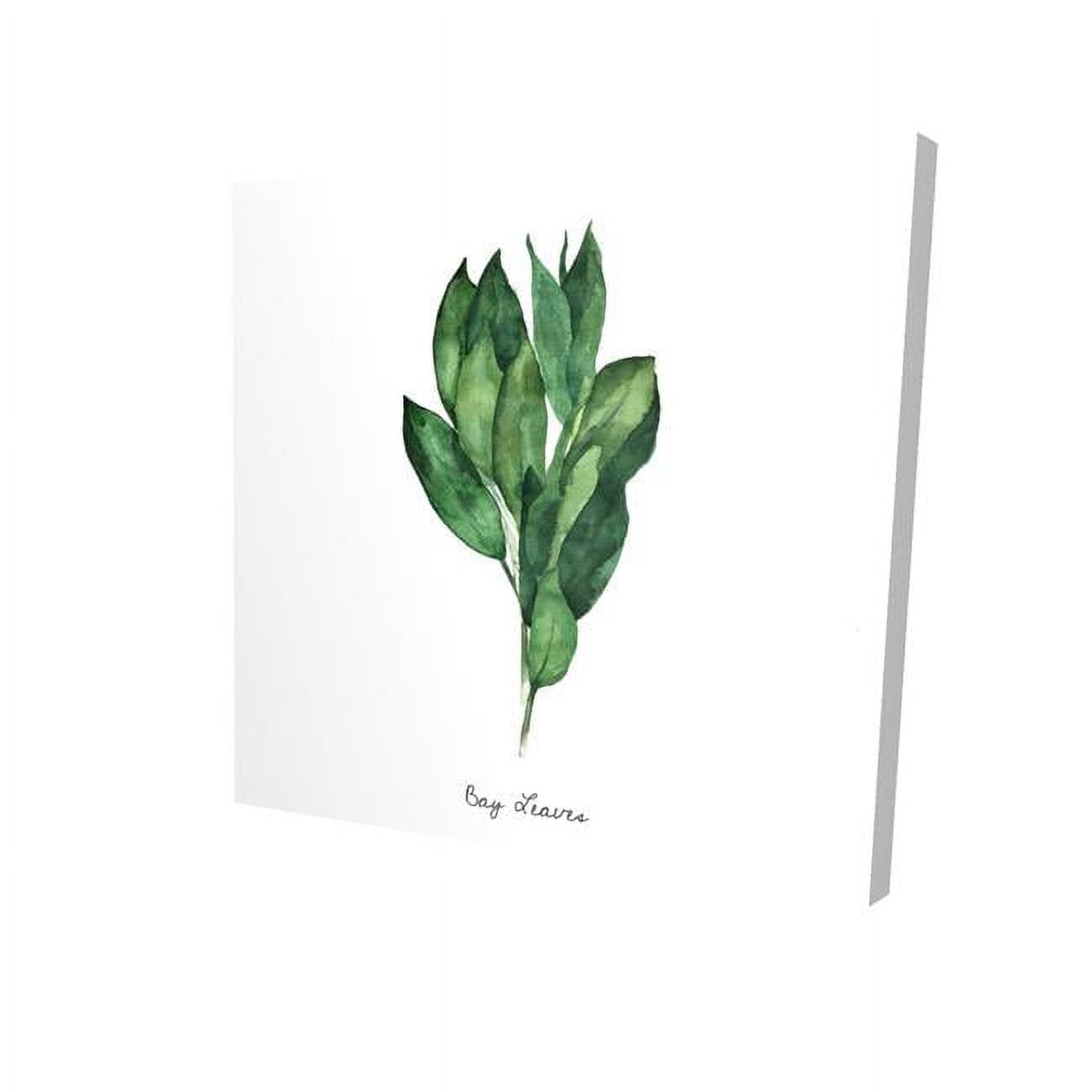 16 x 16 in. Bay Leaves Bundle-En-Print on Canvas