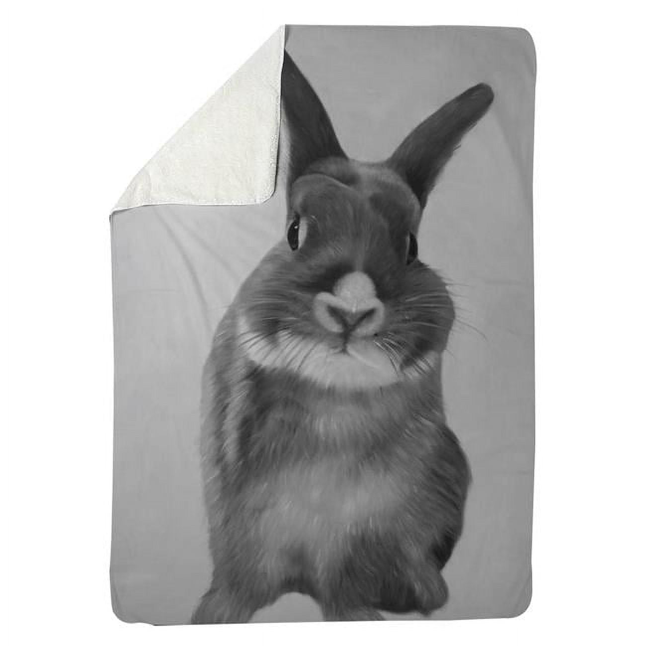 60 x 80 in. Funny Grey Rabbit-Sherpa Fleece Blanket
