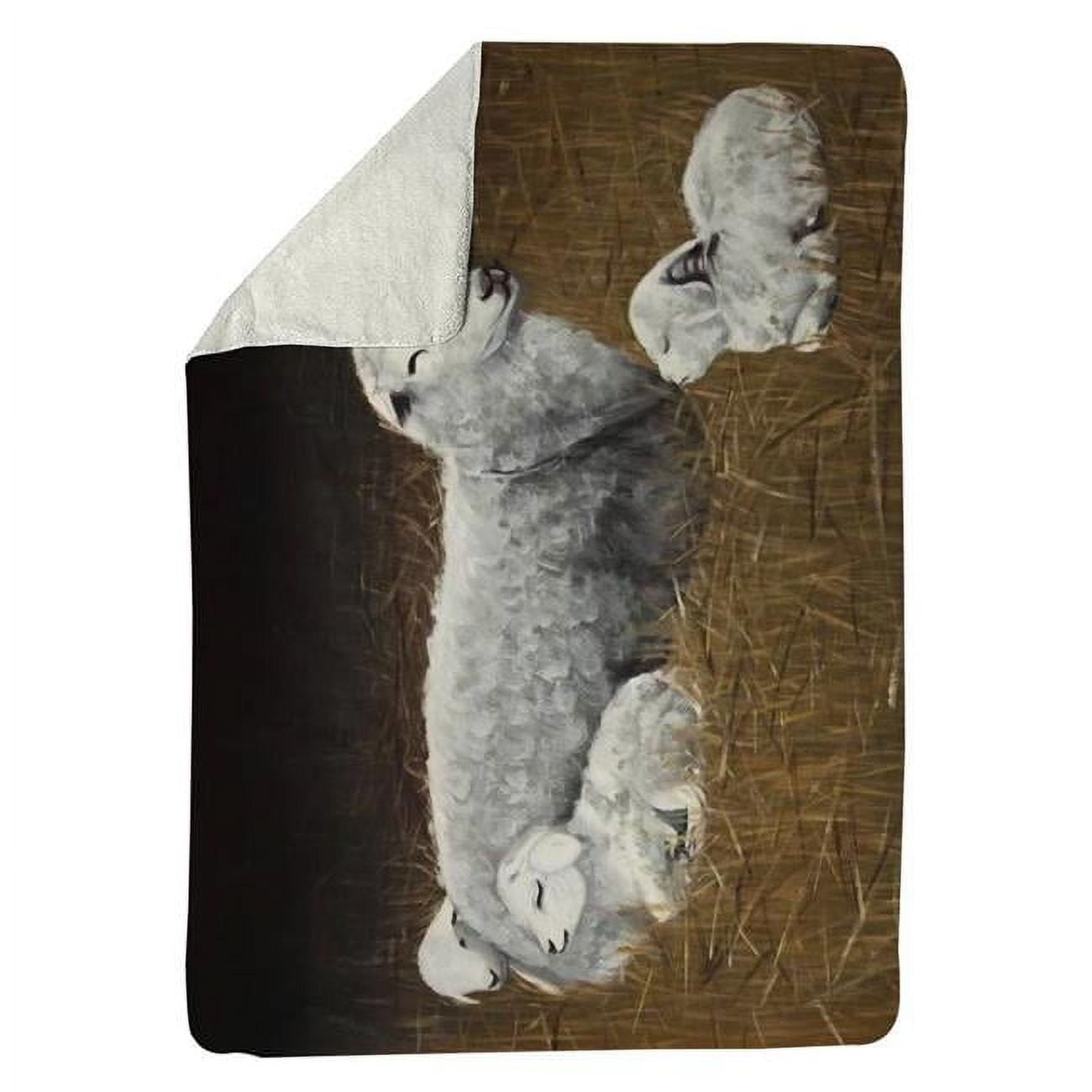 60 x 80 in. Sheep & Lambs-Sherpa Fleece Blanket