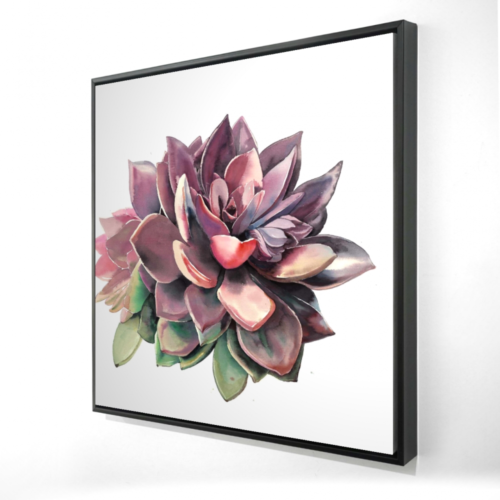 2081-2424-FL335 24 x 24 in. Succulent Framed Canvas - Exotic Botanical Home Decor