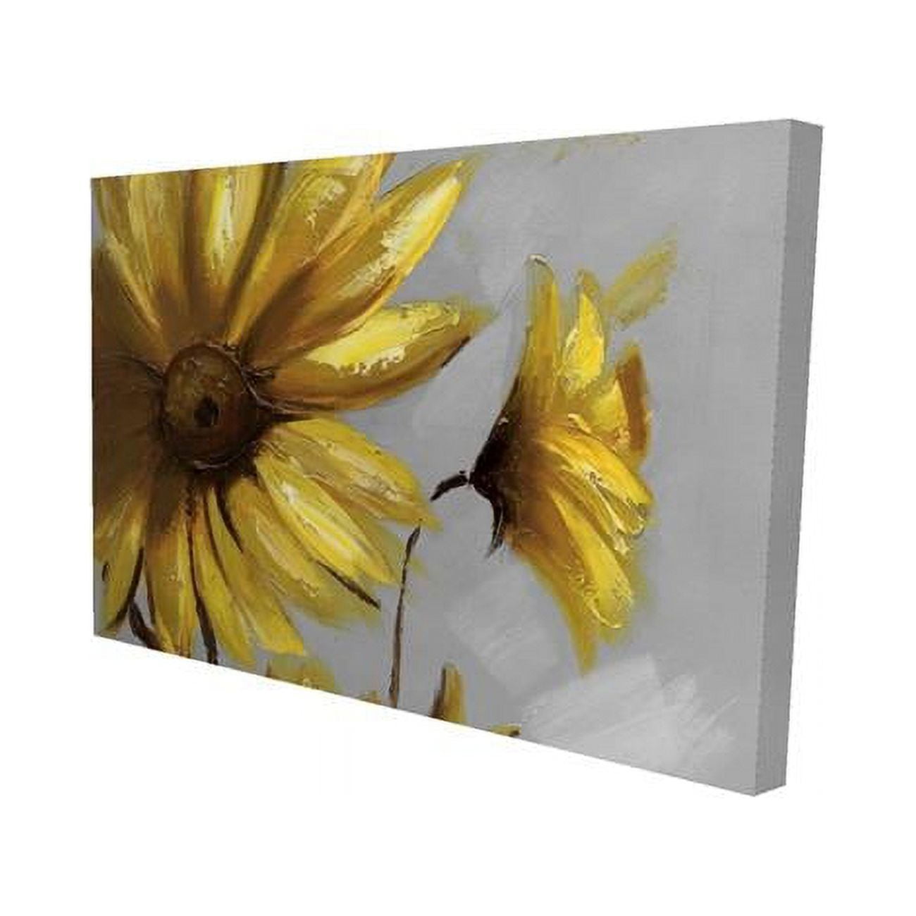 20 x 30 in. Mountain Arnica Flowers-Print on Canvas