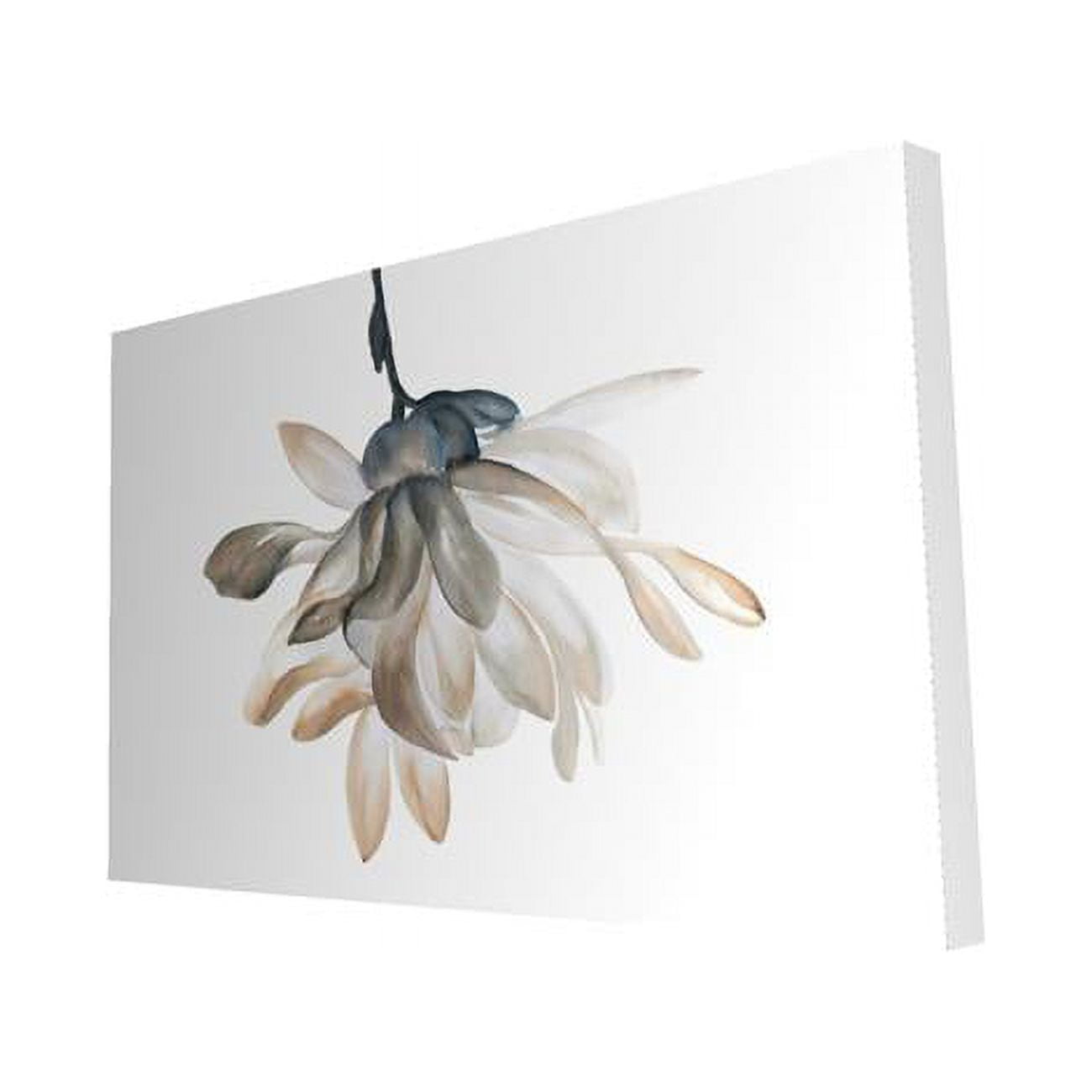 20 x 30 in. Softness-Print on Canvas