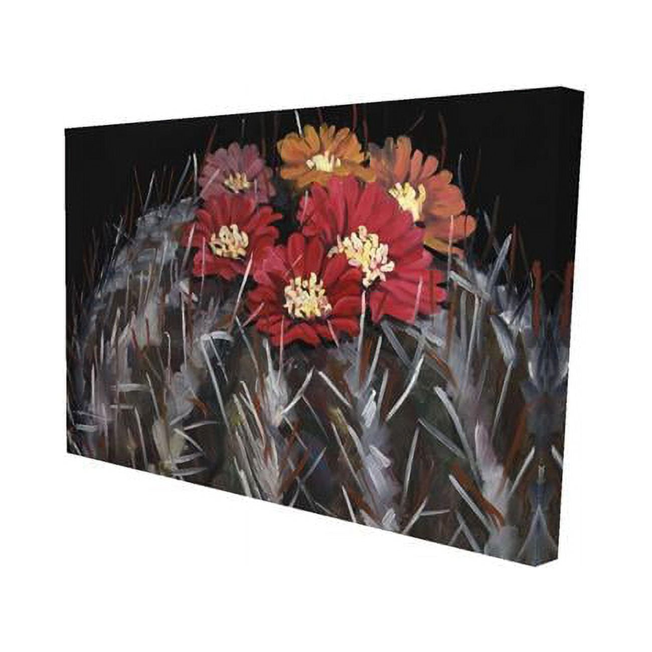 20 x 30 in. Mammillaria Cactus In Bloom-Print on Canvas