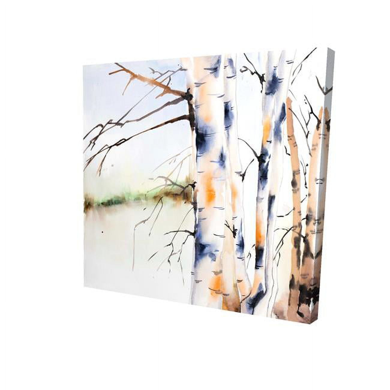 32 x 32 in. Birchs Trunks-Print on Canvas