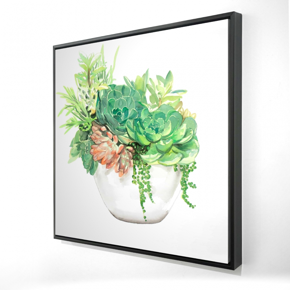 2081-2424-FL266 24 x 24 in. Succulent Assortment Canvas - Exotic White Frame Home Decor