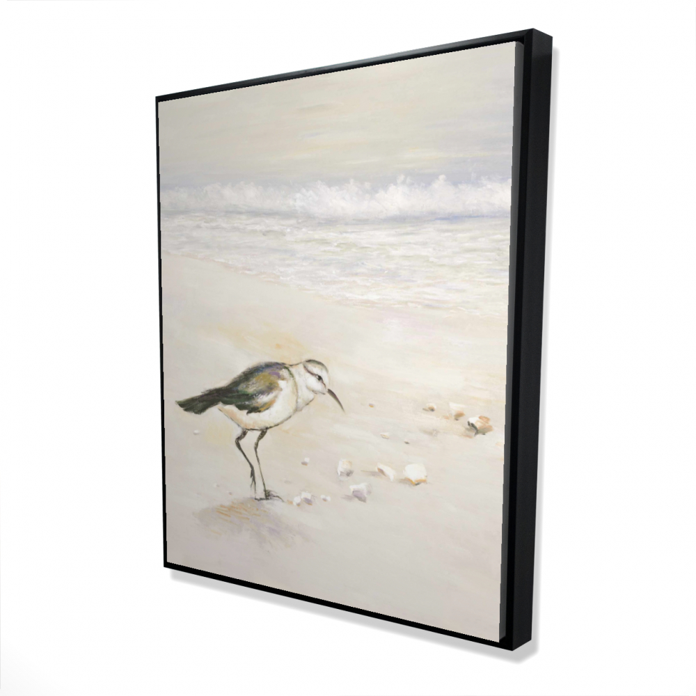 2081-6048-AN98 48 x 60 in. Semipalmated Sandpiper Beach Canvas - Bird Wall Art Decor