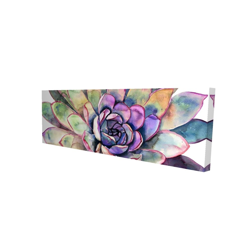 2080-1648-FL361 16 x 48 in. Multi Colored Succulent Canvas - Exotic Botanical Bedroom Decor