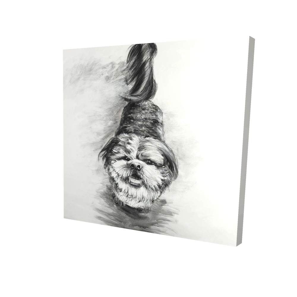 2080-2424-AN185 24 x 24 in. Happy Dog Sketch Canvas - Pet Bedroom Decor - Home Wall Art