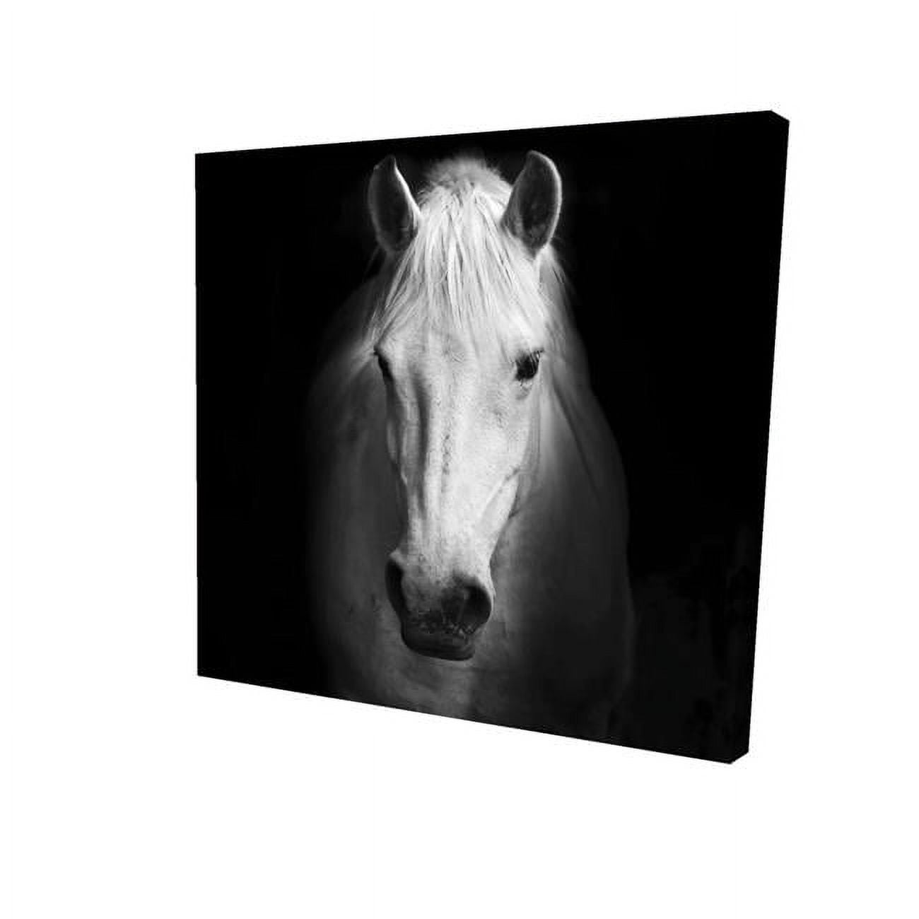 32 x 32 in. Monochrome Horse-Print on Canvas